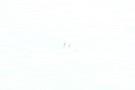 Missing Picture